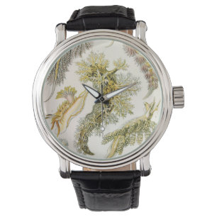 Havsigsner, sniglar av Ernst Haeckel, Vintage Djur Armbandsur
