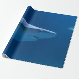 Havskapelser Presentpapper