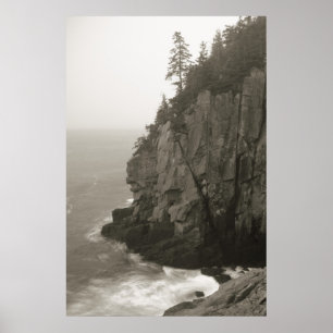 Havsklippa på det Quoddy huvudet, Maine Poster