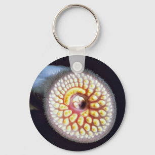 HavsLamprey Nyckelring