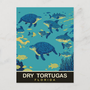 Havslevande sköldpaddor vid Dry Tortugas FL, Resa Vykort