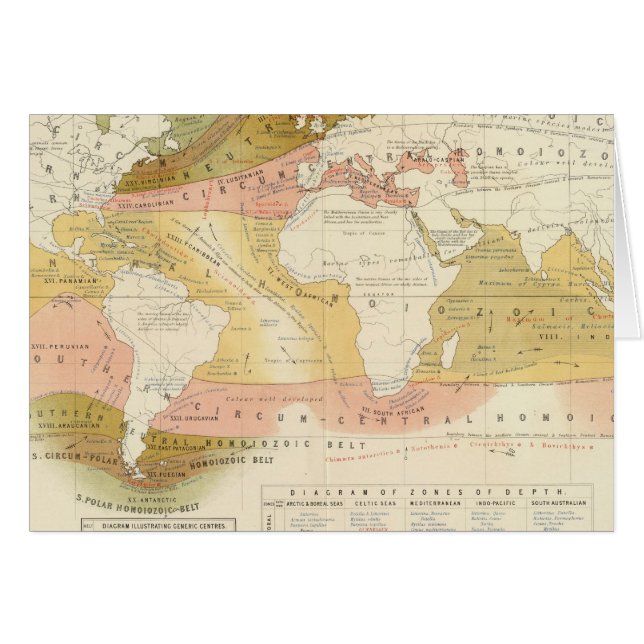 Havsliv Hälsningskort (Framsidan Horizontal)