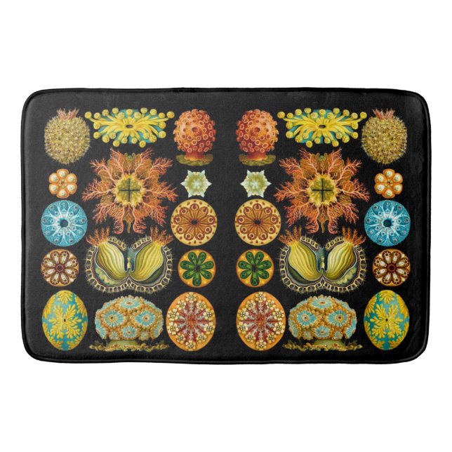 Havsliv Havslevande varelser Badrumsmatta (Framsidan)