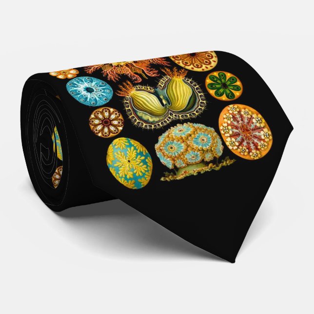 Havsliv Havslevande varelser Slips (Rullad)