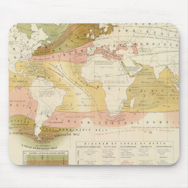 Havsliv Musmatta (Framsidan)