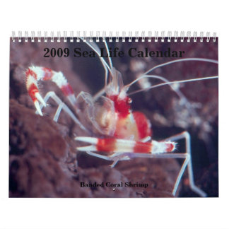 Havslivkalender 2009,… kalender