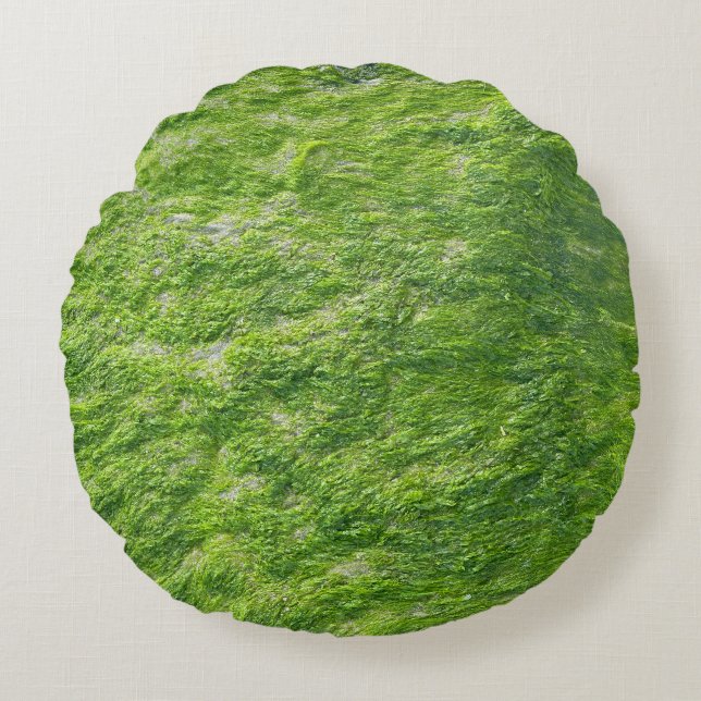 Havsmassans Grönt Natur Grass Beach Nautical Rund Kudde (Framsidan)