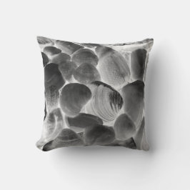 Havsmusselskal i grå toner kudde