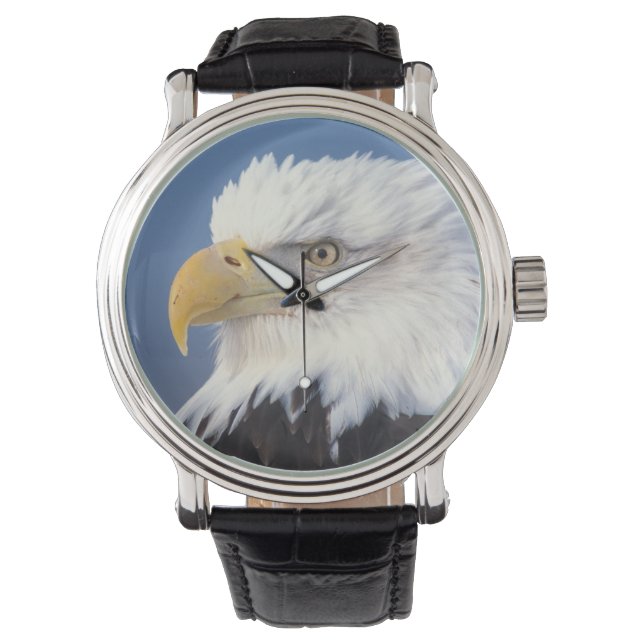 havsörn, Haliaeetus leuccocephalus, Armbandsur (Framsida)