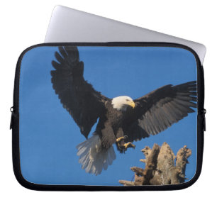 havsörn, Haliaeetus leuccocephalus, landar Laptop Fodral