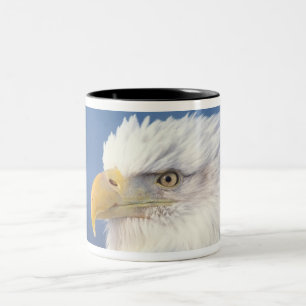 havsörn, Haliaeetus leuccocephalus, Två-Tonad Mugg
