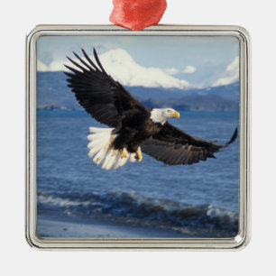 havsörn, Haliaeetus leuccocephalus, under flykt Julgransprydnad Metall