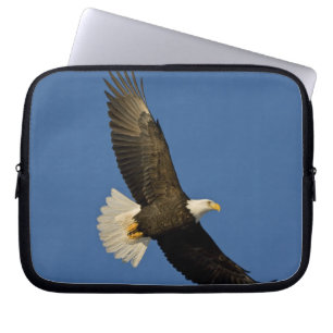 Havsörn, Haliaeetus leucocephalus, Homer, Laptop Sleeve