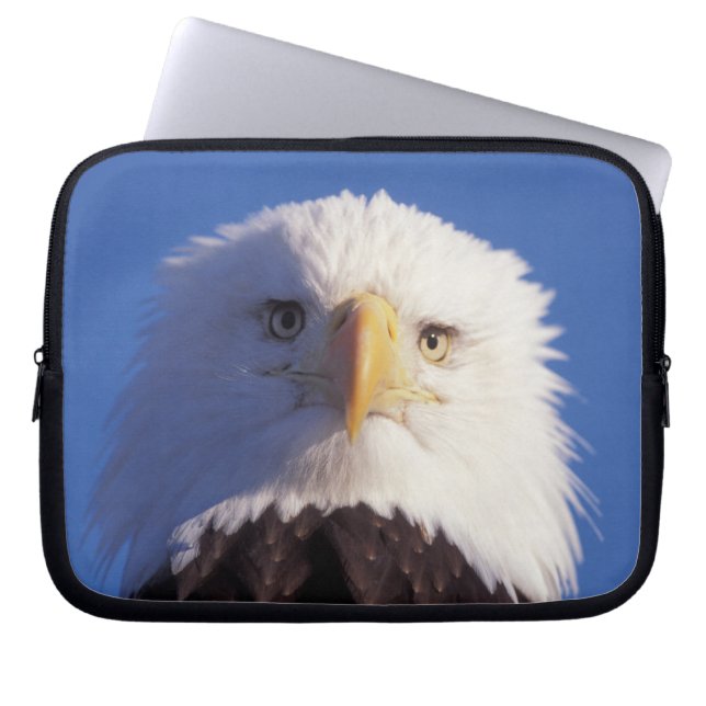 havsörn, Haliaeetus leucocephalus, närbild på huvu Laptop Fodral (Framsidan)