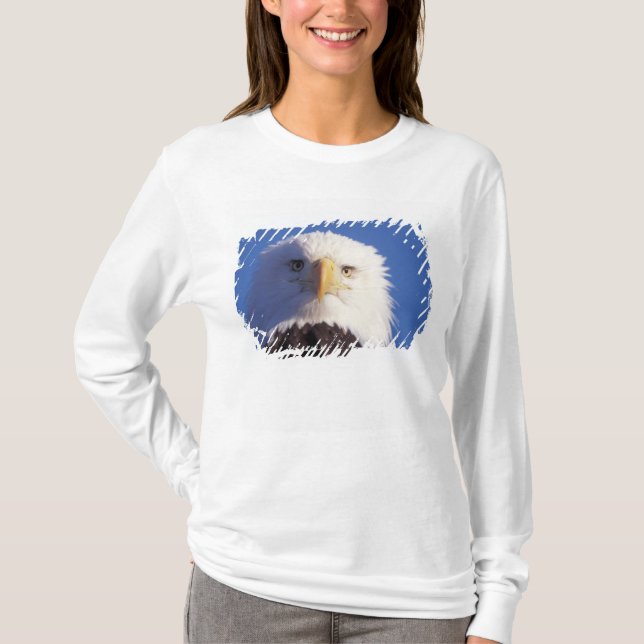 havsörn, Haliaeetus leucocephalus, närbild på huvu Tee (Framsida)