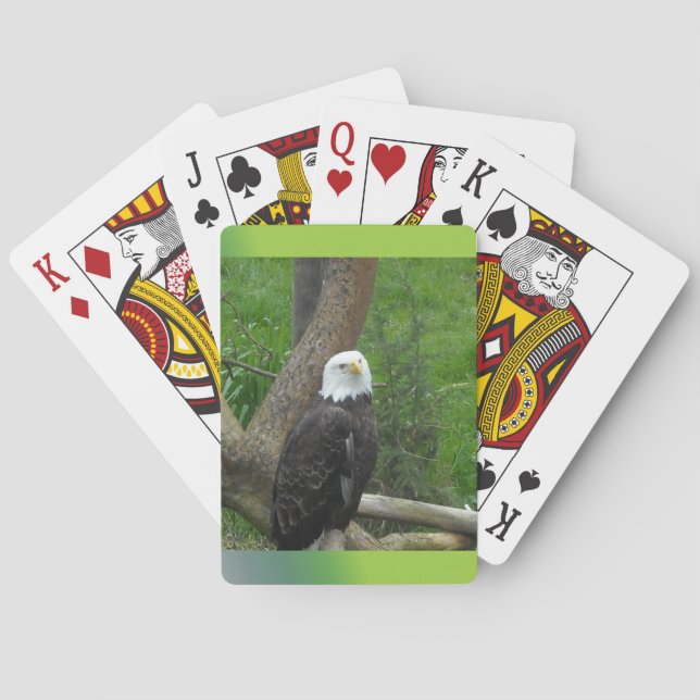 Havsörn Spel Kort (Baksidan)