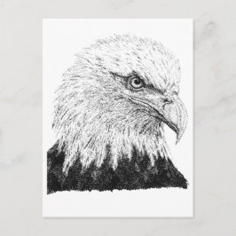 Havsörn USA Patriotisk Svart Vit Punktkonst Vykort