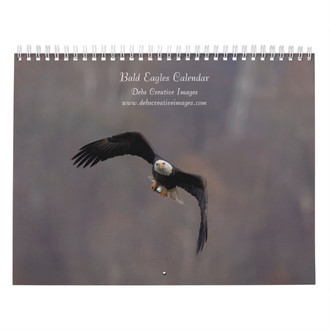 Havsörnar 2026 kalender (Omslag)