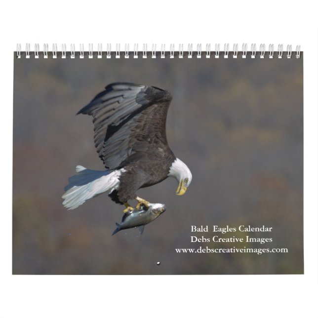 Havsörnar 2026 kalender (Omslag)