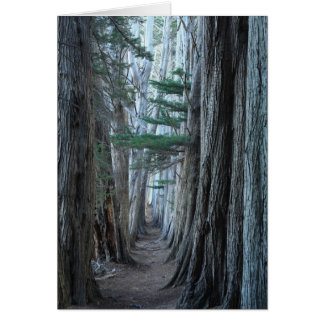 Havsranch Hälsningskort