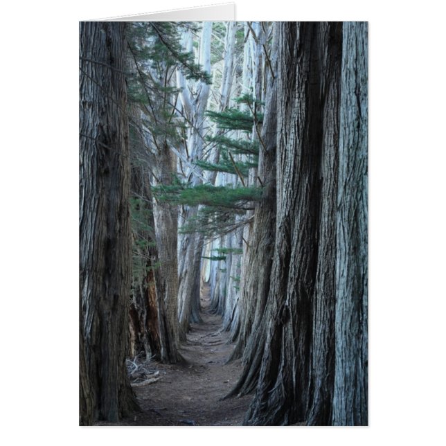 Havsranch Hälsningskort (Framsidan)