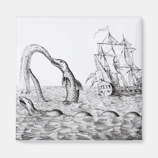 Havsserpent Magnet (Framsidan)