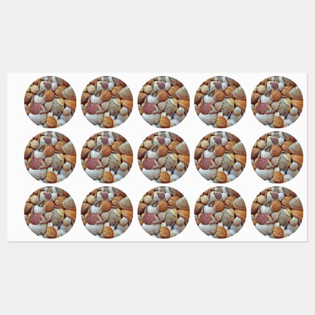 Havsskal Klistermärke (Ark)