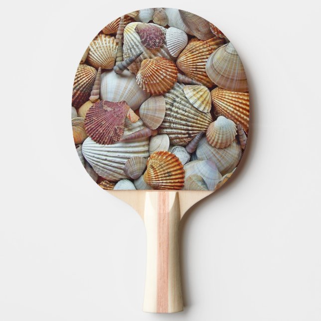 Havsskal Pingisracket (Framsidan)