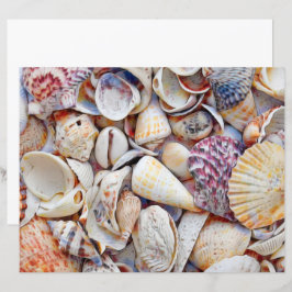 Havsskal Sjöstrand Vattenfärg Decoupage