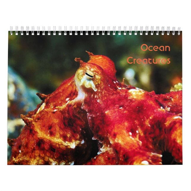 Havsskapitalender Kalender (Omslag)