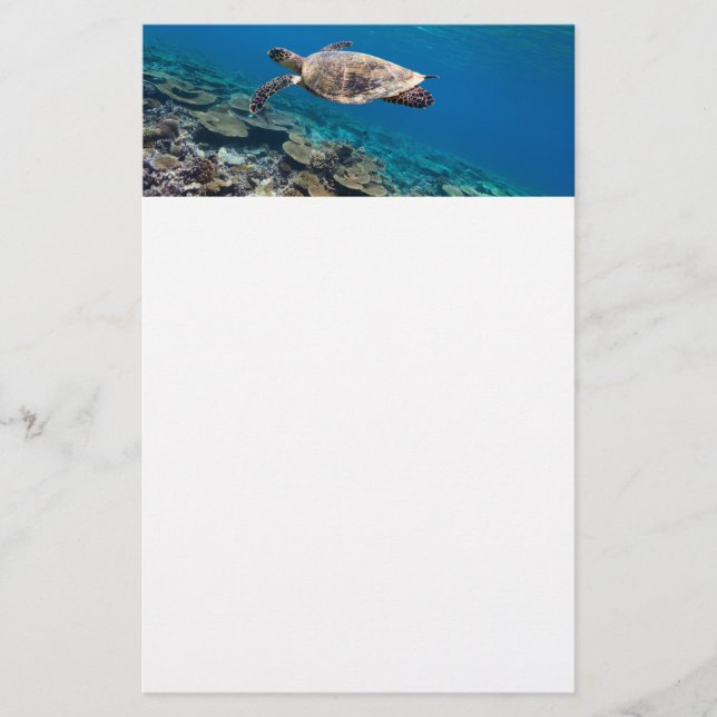 Havssköldpadda Brevpapper (Framsida)
