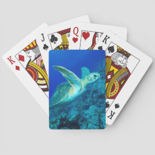 Havssköldpadda Casinokort