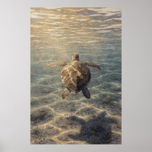 Havssköldpadda i klart blått vatten poster (Framsidan)