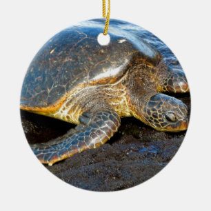 Havssköldpadda Julgransprydnad Keramik
