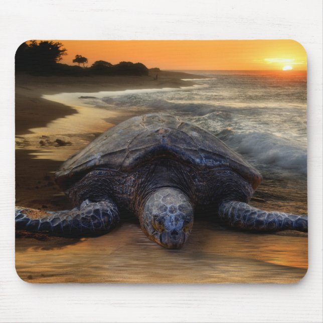 Havssköldpadda Mousepad Musmatta (Framsidan)