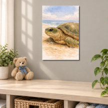 Havssköldpadda Ocean Strand
