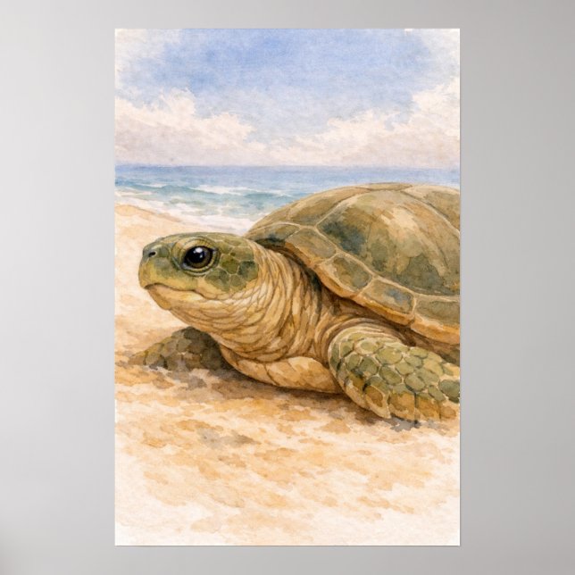Havssköldpadda Oceanstrand Poster (Framsidan)