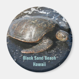 Havssköldpadda på den svart Sandstranden Hawaii Magnet