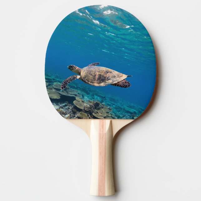 Havssköldpadda Pingisracket (Baksidan)