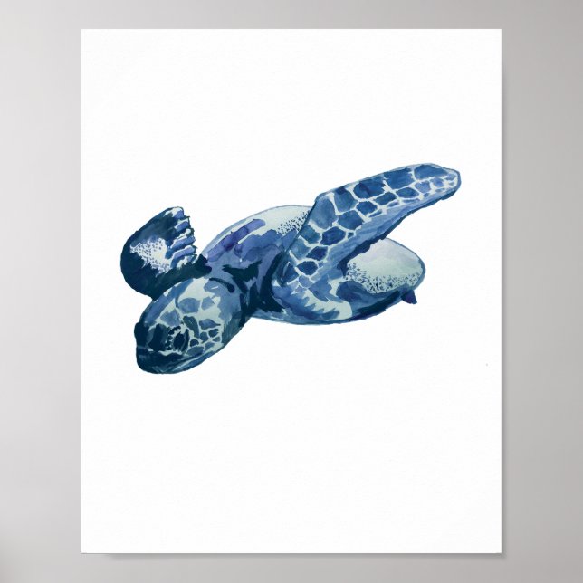 Havssköldpadda Poster (Framsidan)