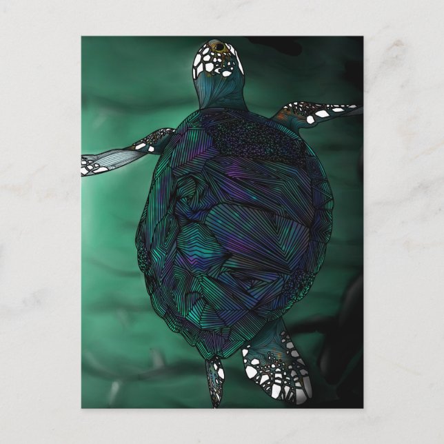 Havssköldpadda Vykort (Framsida)