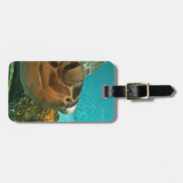 Havssköldpaddaöverrrakning Bagagebricka