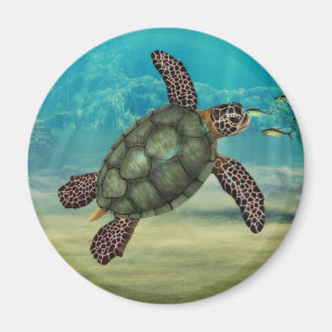 Havssköldpaddarunda Magnet