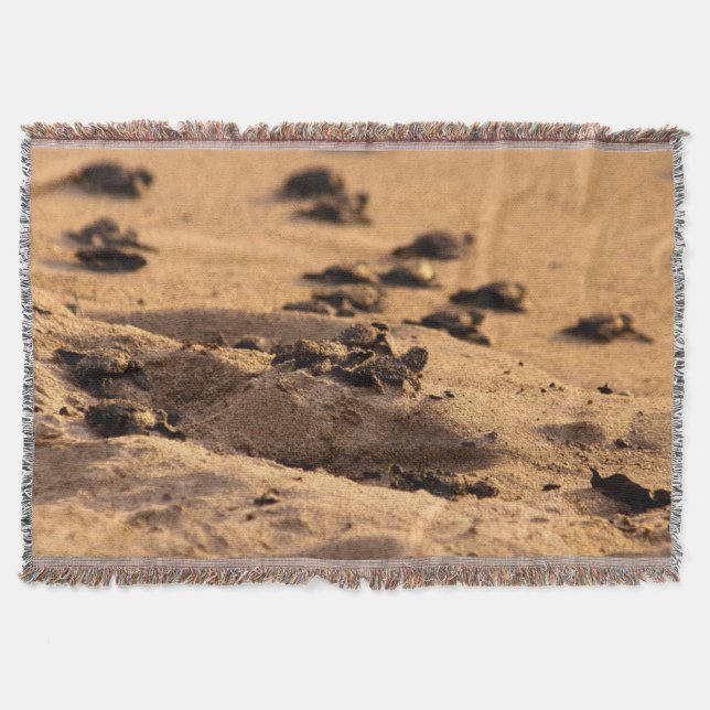 Havssköldpaddor Filt (Framsidan)