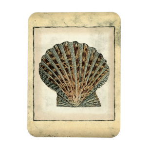 Havssköldpaddor Magnet