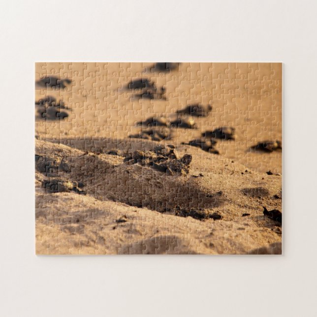 Havssköldpaddor Pussel (Horisontell)