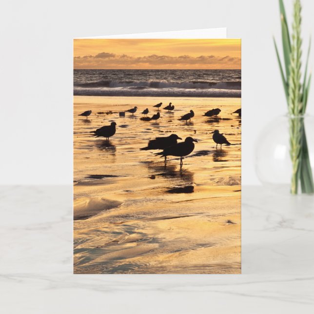 Havsskrov vid stranden vid sunset kort (Framsida)