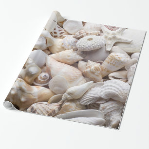 Havssnäcka- & sjöstjärnabakgrund - strandsnäck presentpapper