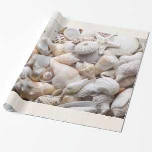 Havssnäcka- & sjöstjärnabakgrund - strandsnäck presentpapper
