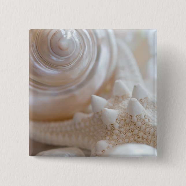 Havssnäcka- & sjöstjärnabakgrund - strandsnäckor knapp (Framsida)